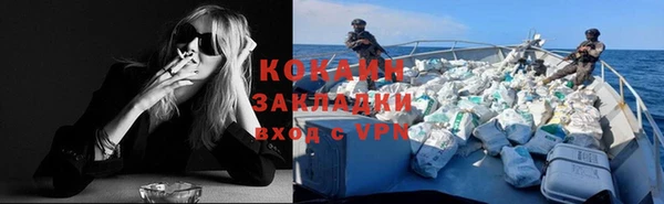 стафф Новокубанск