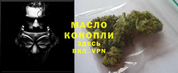 сатива Новодвинск