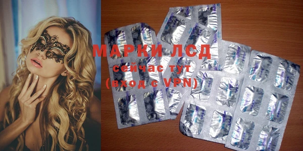 сатива Новодвинск