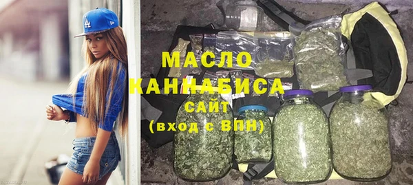сатива Новодвинск