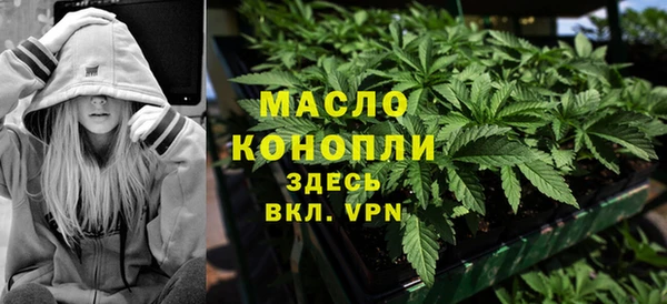дживик Новозыбков