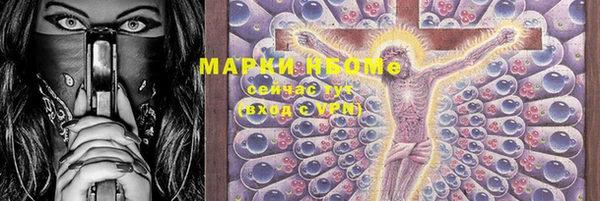 дживик Новозыбков
