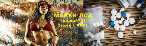 дживик Новозыбков