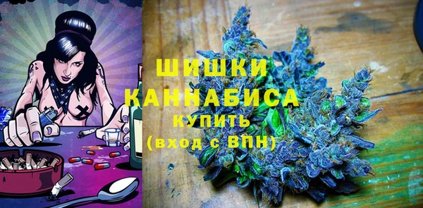 сатива Новодвинск