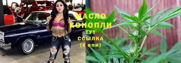 дживик Новозыбков
