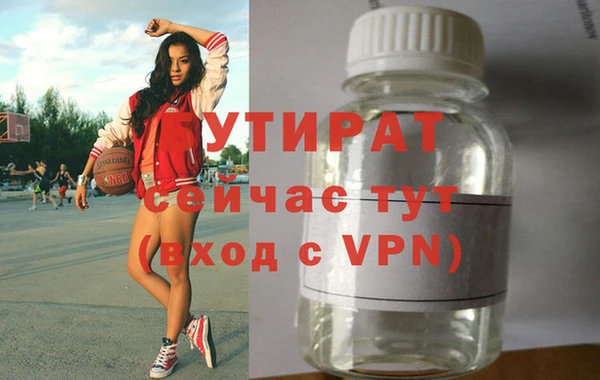 сатива Новодвинск
