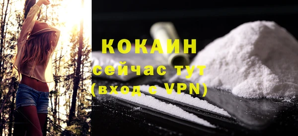 сатива Новодвинск