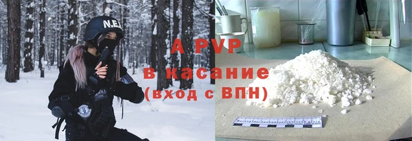 сатива Новодвинск
