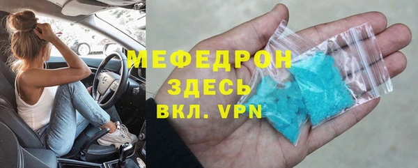 сатива Новодвинск