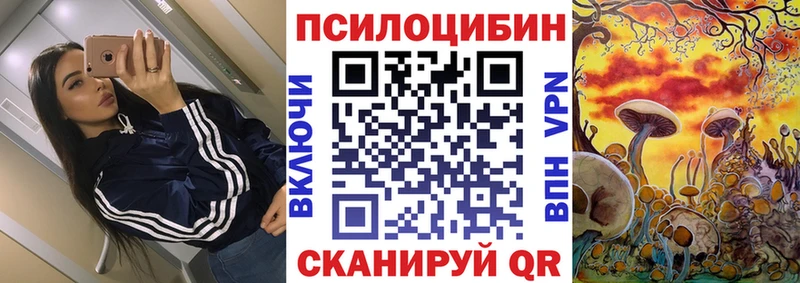 Купить закладки Новая Усмань Псилоцибиновые грибы ЛСД